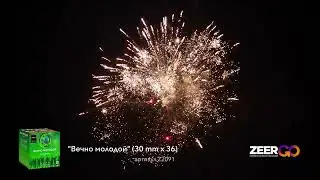 Салют на 36 зарядов ВЕЧНО МОЛОДОЙ Z2091 ZeerGO
