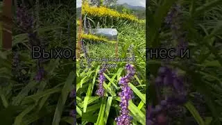 Актив отдых фитнес и сауна#южнаякорея #здоровье #hiking #туризм