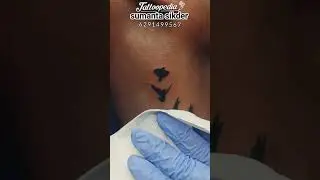 flying bird tattoo | neck tattoo | Kabir Singh tattoo | #tattoo #tending #flyingbird