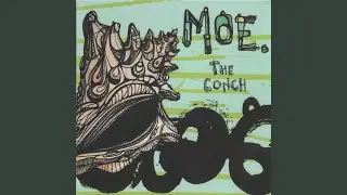 The Conch