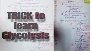 TRICK to learn steps of GLYCOLYSIS #glycolysis #trick #biology #neet #rap #bsc 
