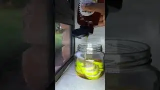 Not aesthetically pleasing😬, but it's a great sweenter🤣 #viralvideo #lemon  #newyoutuber
