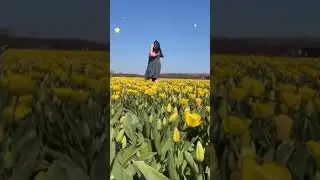 Wow wait till the end | Netherlands Summer | Tulips