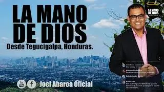 Lunes 15 de diciembre de 2025 