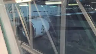 Beirut to Dubai on Emirates' B777-300, Economy.