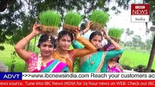 BANJARA S TEEJ SPECIAL SONG 2017 BY IBC NEWS GOR BANJARA    MUST WATCH   I