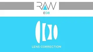 Camera RAW E08 lens correction