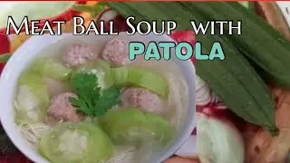 MEAT BALL SOUP WITH PATOLA /RIBBED LOOFAH / SILK SQUASH || Lizanna's Diary