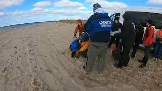 Nantucket Gray Seal Tagging