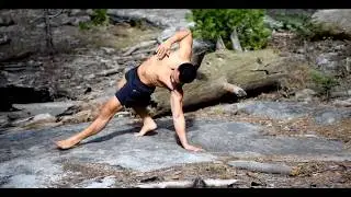 Ageless Mobility Reborn | Wellness System