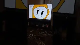 My reaction to The brick Haminations