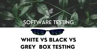 Black Box VS White Box VS Grey Box Testing #blackbox #whitebox #greybox
