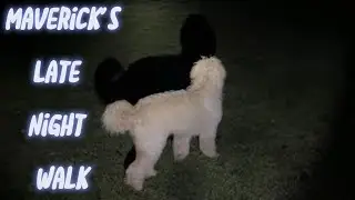 Maverick&rsquo;s Late Night Walk