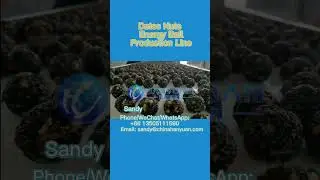 Dates Nuts Energy Ball Machine | Dates Energy Ball Production Line | Sesame Fruit Ball Equipment