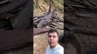 Found a hidden gold mine!