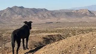Desert living. What I do out here all day.