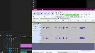 voiceline fail