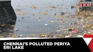 Chennai Water Woes: Periya Eri Lake Dying A Slow Death | Latest News | English News