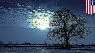 Winter solstice: The shortest day of the year in the Northern Hemisphere is here - TomoNews