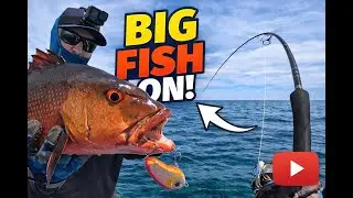 Reef Flats and Topwater Produces a Mixed Bag of Fish