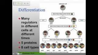MB_W16_Lecture20