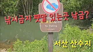 낚시금지 팻말 있으면 낚시 해도 될까요? 안될까요? 굿바이 서산 산수지(산수저수지)