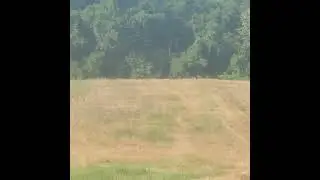 groundhog hunting with a 22-250 at 150 yards