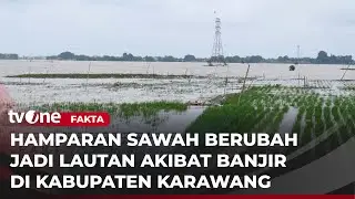 Terendam Banjir, Area Persawahan di Karawang Berubah Seperti Danau | Fakta tvOne