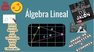 Aplicación Lineal Definición y concepto básico para entenderlo Álgebra lineal