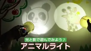 光と影で遊んでみよう♪アニマルライト