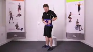 66fit Waist & Back Support