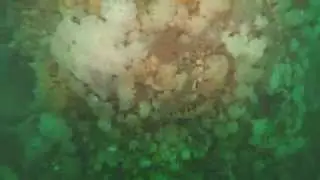 Underwater 