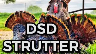 TURKEY HUNTING Decoy Review (Featuring UNGUIDED OUTDOORS) - Did we get a TRIPLE???