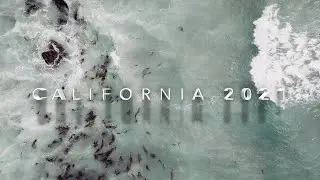 California Dreaming | Family Road Trip With Kids!