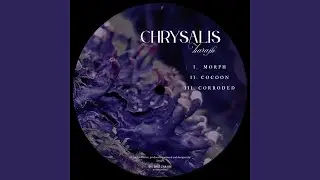Cocoon (Original Mix)