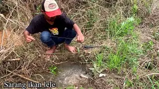 Tak disangka tempat seperti ini banyak ikan nya mancing lele lembat