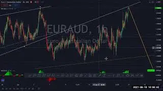 Elliott Wave analysis on GOLD, SILVER, GBP, USD, EUR, CHF, CAD, AUD, NZD and JPY