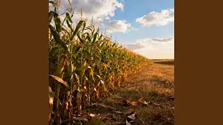 FARMFLOW-DOWNCHURCH