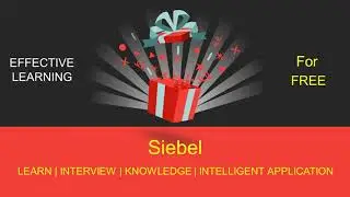 Siebel Learn Interview Question and Answer Knowledge | APP for Google Play