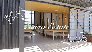 Zonzo Estate Review