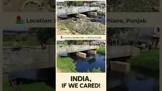 Buddha Nala &mdash; Punjab&rsquo;s River Turned Drain | India, If We Cared 💧