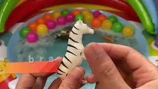 Learn English: Zebra Animal Sounds | Kids Learning Videos From Animal Kingdom (2022)