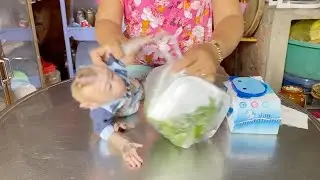 DAM Keep Hugging Food Package Can't Sit For Manner