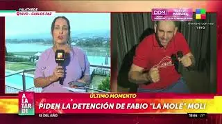 ¡Piden la detención de LA MOLE MOLI!