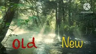 Old vs New this day aria