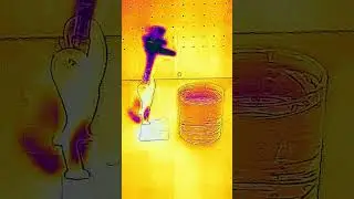 POV Science: A Wild Drinking Bird Appears! #shorts #science