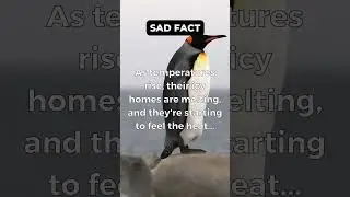Penguins vs. Climate Change: The Battle for Survival in a Changing World #penguin #facts #animals