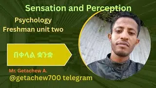 Sensation and Perception (psychology unit 2 part 2)