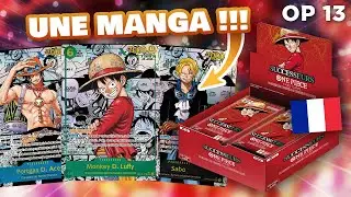 La MANGA qui SAUVE la CASE dans un DISPLAY vs BLISTERS ! | Ouverture Display 6/12 