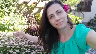 Lindas Flores Para Canteiro